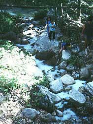 Gray water contaminates a pristine creek near a hot springs resort.