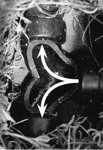 cut away view of a greywater flow splitter in action